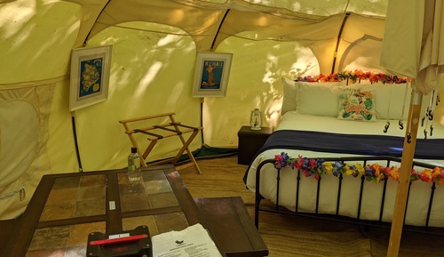 Hawaiian Luxury Tent #2 (Premiere Resort Amenities Included!)