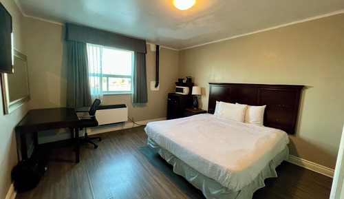 Single Room, 1 King Bed