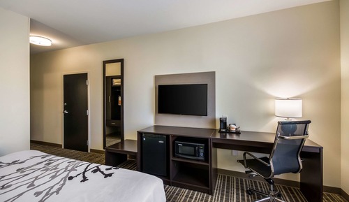 Standard Room, 1 King Bed, Non Smoking