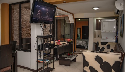 Executive Apartment, 1 Bedroom (101)