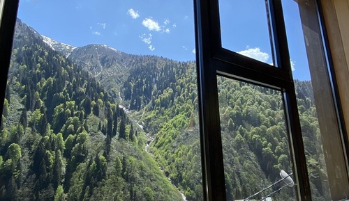 Standard Double Room, Waterfall View