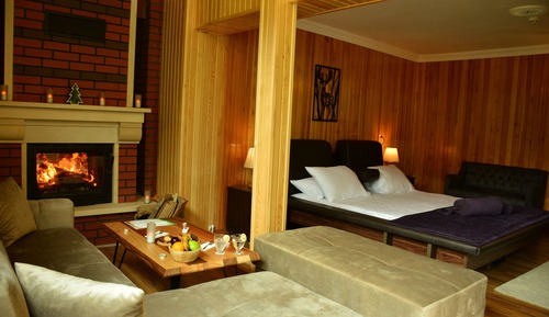 Queen Suite, Fireplace, Waterfall View, Jakuzi