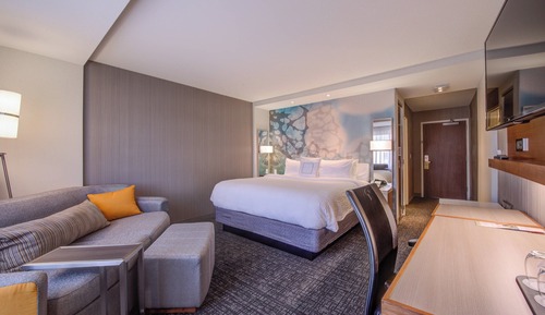 Room, 1 King Bed with Sofa bed (Hearing Accessible)