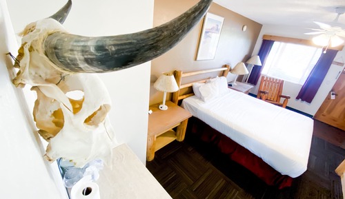 Standard Suite, 1 King Bed