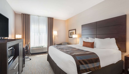 Business Room, 1 King Bed with Sofa bed, Non Smoking