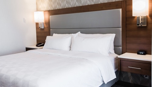 Suite, 1 King Bed with Sofa bed