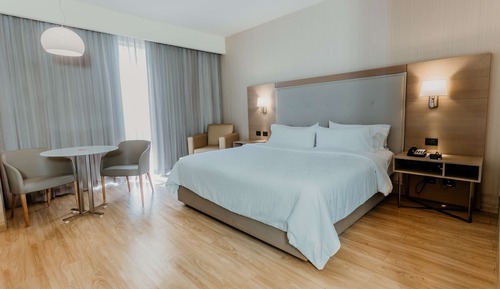Room, 1 King Bed