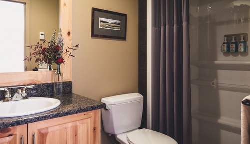 Standard Double or Twin Room, 1 Bedroom, Mountain View