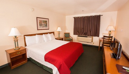 Room, 1 King Bed