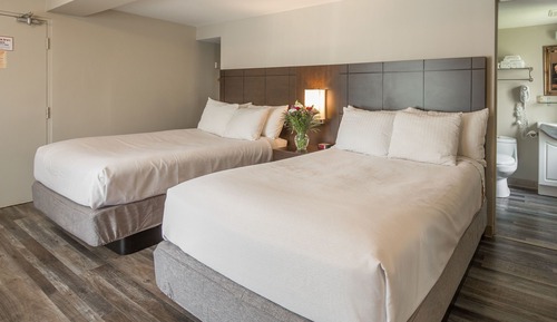 Standard Room, 2 Double Beds