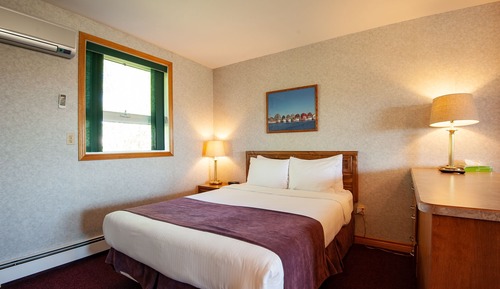 Room, 1 King Bed
