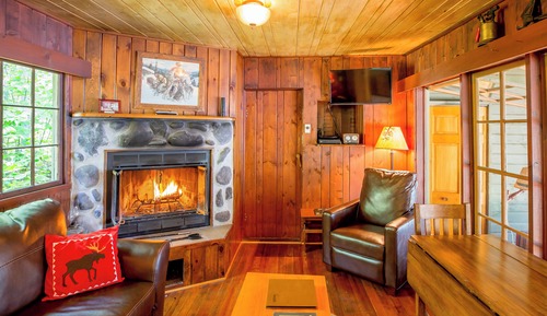 Premium Cabin, 1 Bedroom, Fireplace, Lake View