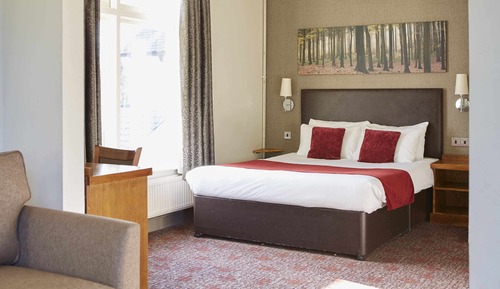 Basic Double Room