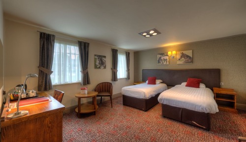 Family Room, Multiple Beds