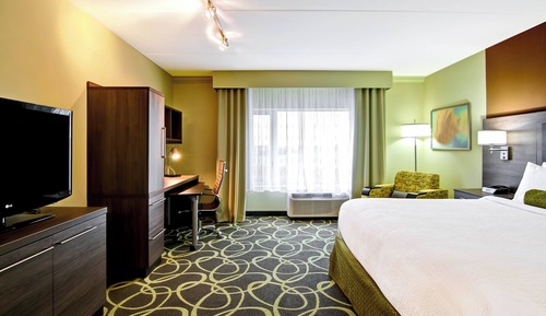Studio, 1 King Bed with Sofa bed