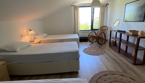 Standard Triple Room, Mountain View