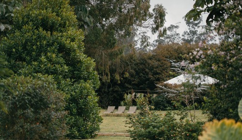 Superior Double Room, Garden View
