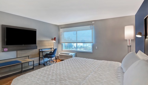 Room, 1 King Bed