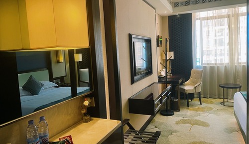 Comfort Single Room