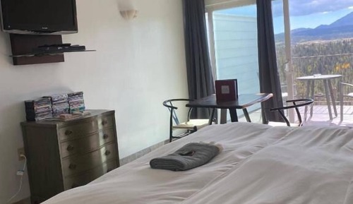 Single Room, Fireplace, Mountain View