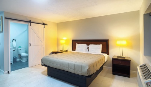 Room, 1 King Bed, Non Smoking