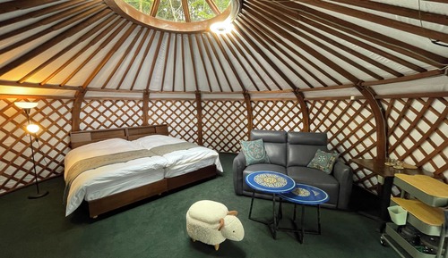 Basic Double Room