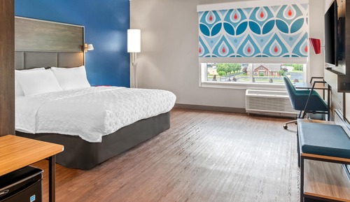 Room, 1 King Bed