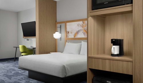 Suite, 1 King Bed with Sofa bed