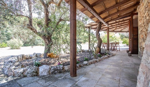 Comfort Suite, Garden View