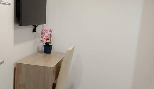 Superior Single Room