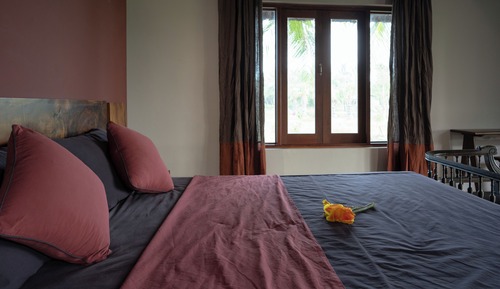 Paddy Field Double Bungalow