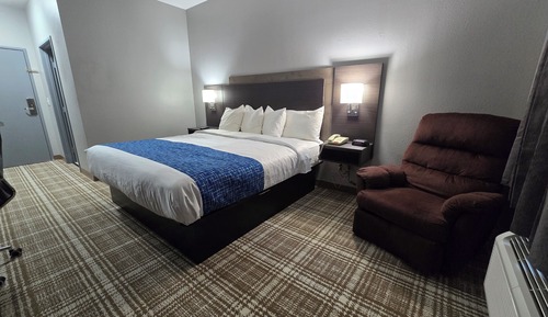 Room, 1 King Bed