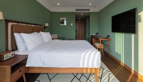 Standard Double Room, Mountain View