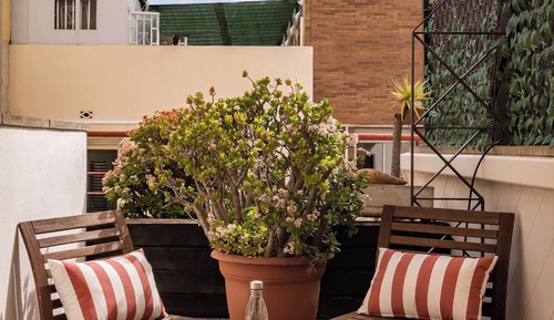 Twin Room, Terrace