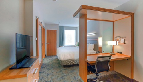Suite, 1 King Bed with Sofa bed