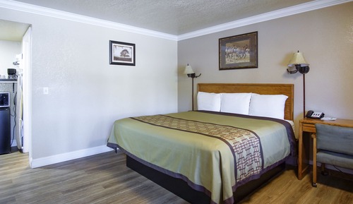 Room, 1 King Bed