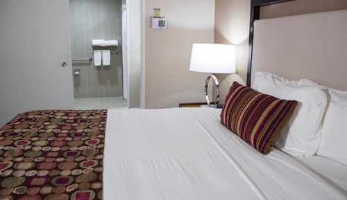 Suite, 1 King Bed, Accessible, Non Smoking (Roll-In Shower)