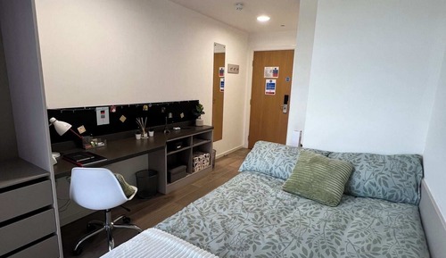 Single Room, Non Smoking