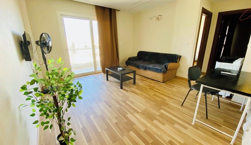 Basic Studio Suite