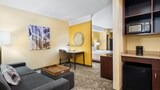 Luxury Suite