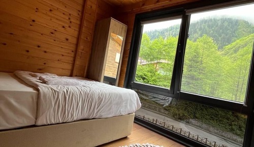 Traditional Room, Mountain View