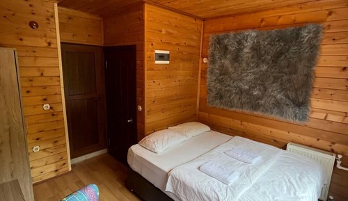 Standard Room, Mountain View