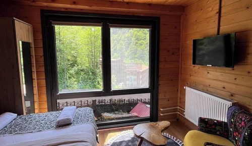 Traditional Room, 1 Double Bed, Mountain View