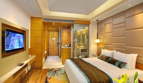 Deluxe Double Room, City View