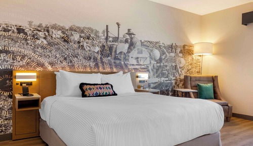 Room, 1 King Bed, Accessible, Non Smoking