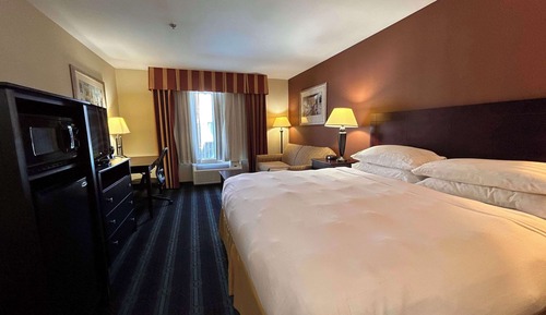 Standard Room, 1 King Bed, Non Smoking, Refrigerator & Microwave (with Sofabed)