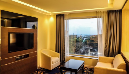 Premium Suite