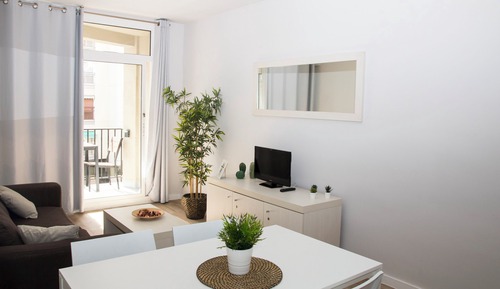 Basic Apartment, City View