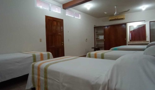Elite Room