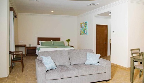 Superior Studio Suite, 1 King Bed with Sofa bed, Ocean View